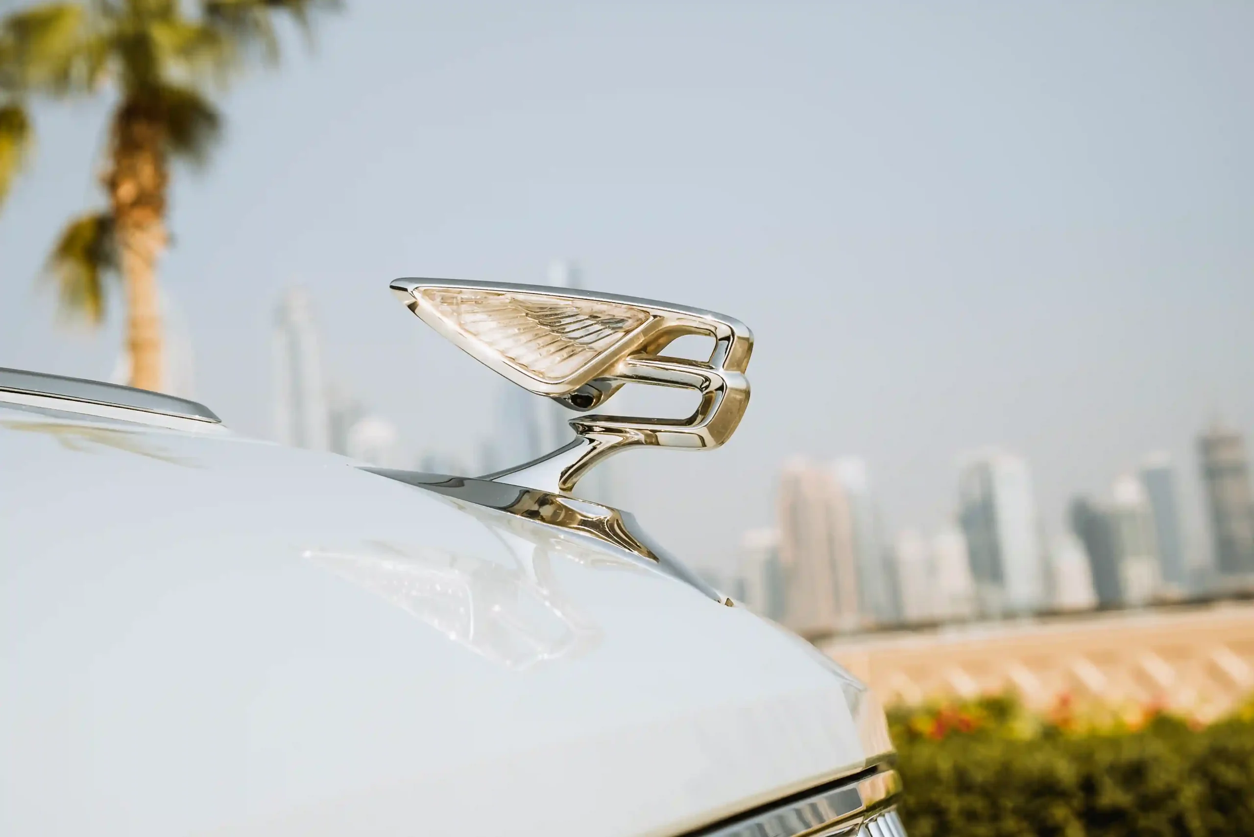 Bentley-flying-spur-white-badge
