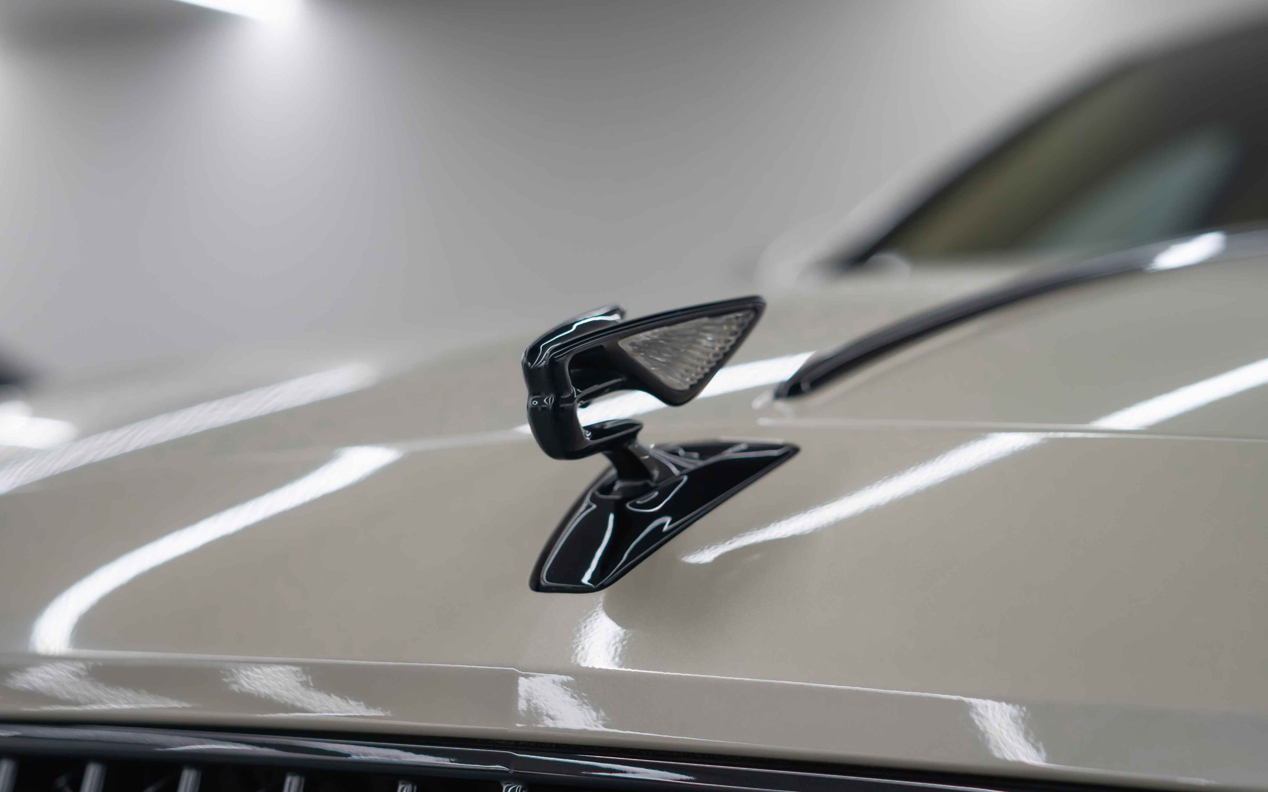 Bentley Flying Spur logo view