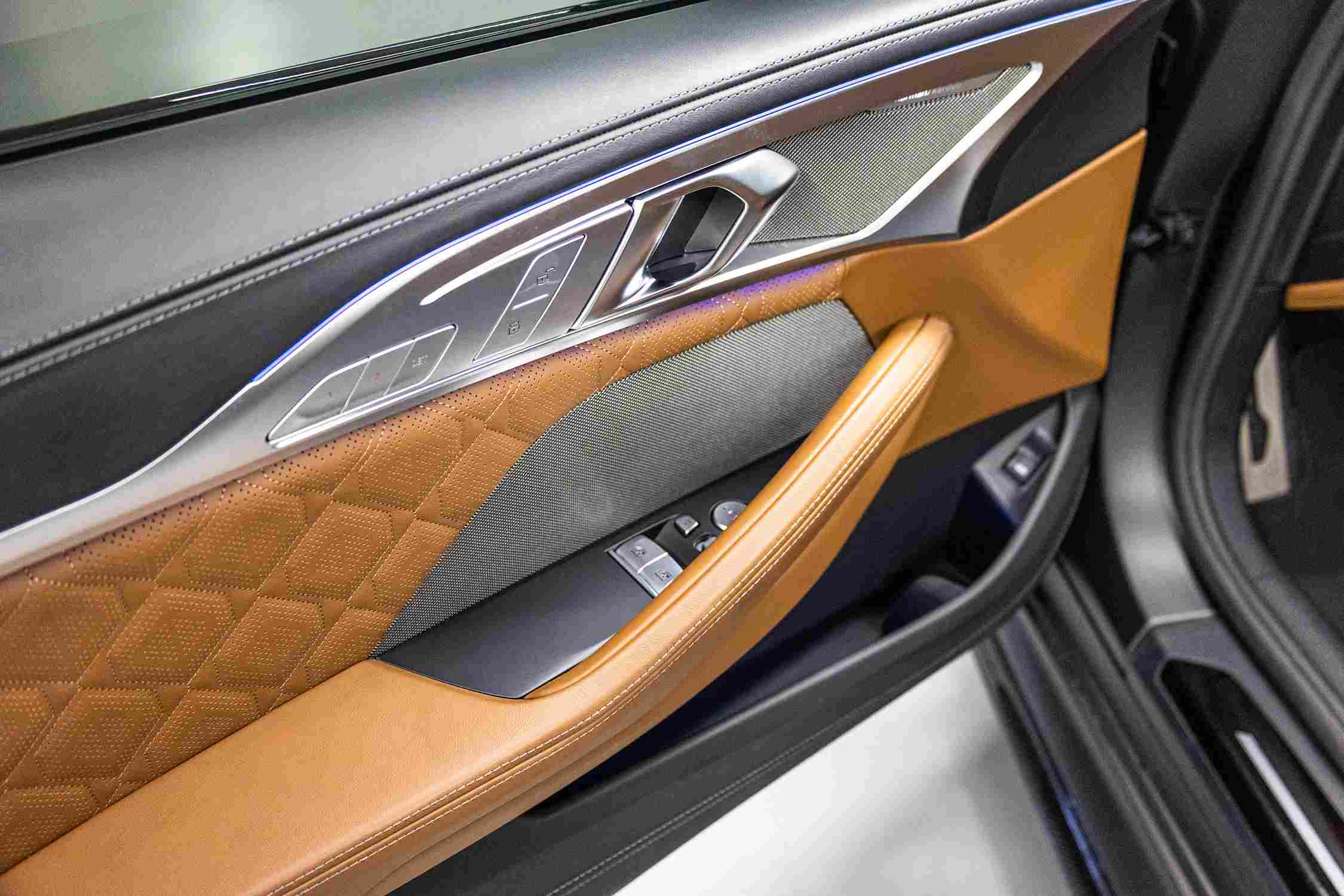 BMW M8 Competition Coupe door panel