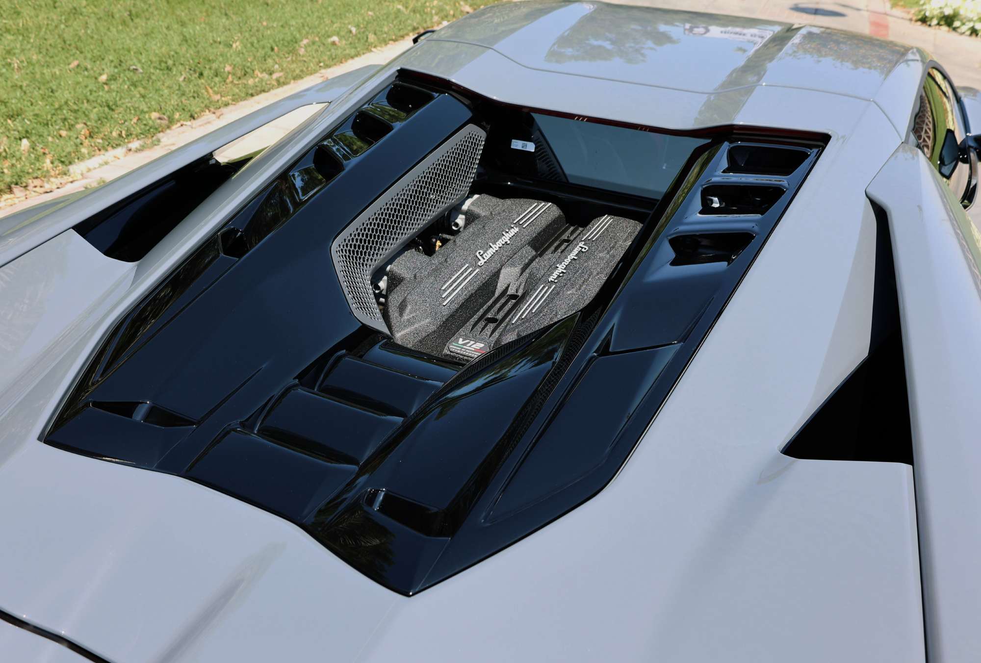 Lamborghini Revuelto v12 engine