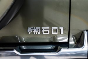 rox-01-2025-green-rear-logo.jpg